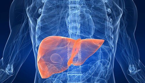 Hepatitis D virus: Transmission route