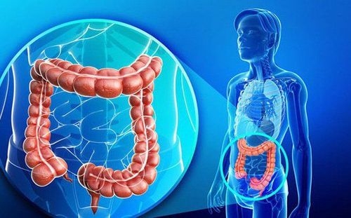 Diagnosis of irritable bowel syndrome