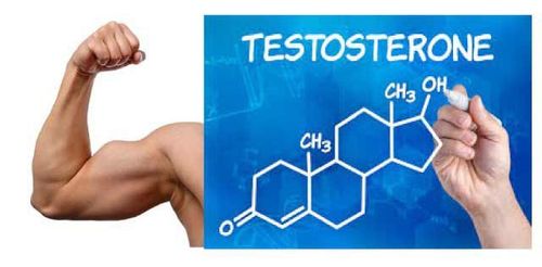 
Testosterone quyết định tới sự phát triển của cơ bắp
