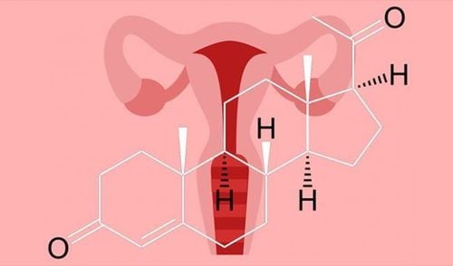 
Hormone progesterone
