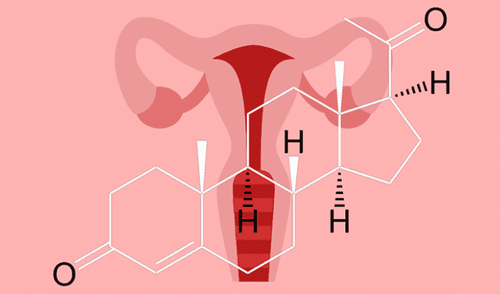 
Hormone Progesterone là một loại hormone sinh dục nữ, được buồng trứng sản sinh ra sau chu kỳ kinh nguyệt
