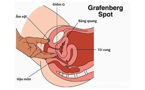 
Chưa có bằng chứng chứng minh sự tồn tại của điểm G
