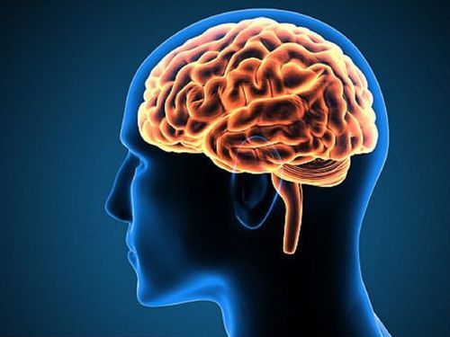 Anatomy, function and diagram of the middle cerebral artery