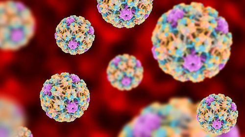 
Nhiễm trùng HPV gây ra hầu như tất cả các bệnh ung thư cổ tử cung
