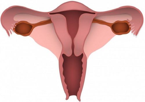 Treatment method for cervical tear