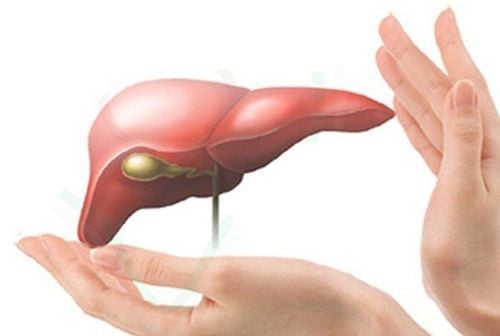 Common diseases of the liver