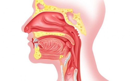 Notes on anesthesia in ENT surgery