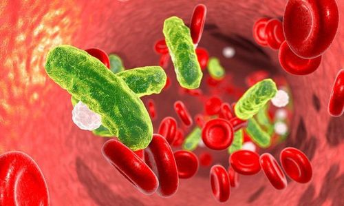 Blood culture for bacteria in sepsis