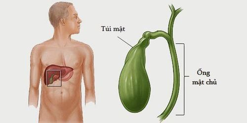 Chảy máu đường mật: Nguyên nhân, triệu chứng và cách điều trị