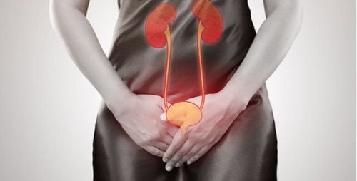 Common diseases of the urinary system