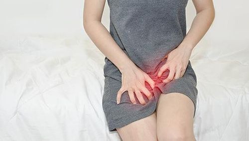 
Nguyên nhân gây viêm âm đạo do tạp khuẩn là do vi khuẩn kỵ khí, hay gặp nhất là Gardnerella vaginalis
