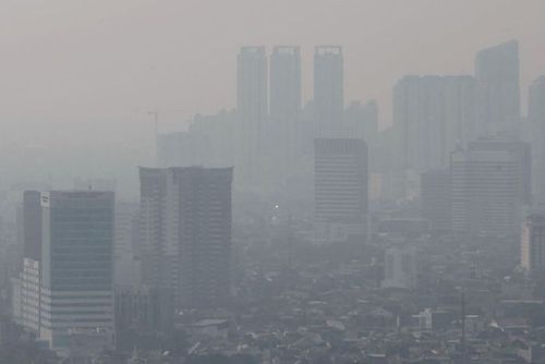 Ô nhiễm không khí ảnh hưởng đến sức khỏe con người thế nào?