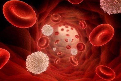 Measures to be taken to diagnose and detect blood cancer