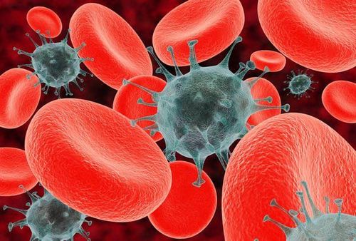 Có thể sử dụng tế bào gốc của người thân để điều trị ung thư máu không?