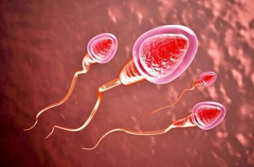 Signs of healthy sperm