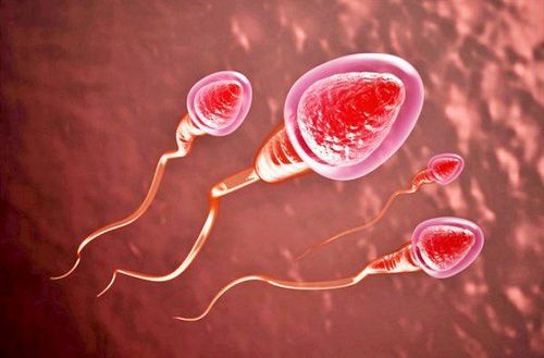 Analysis of sperm count based on semen analysis results