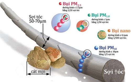 
Bụi siêu mịn ảnh hưởng nghiêm trọng đến sức khỏe con người
