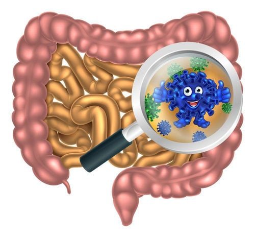 Why do antibiotics cause intestinal disorders?