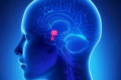 Complications may be encountered when laparoscopic surgery to remove pituitary tumors through the sphenoid line