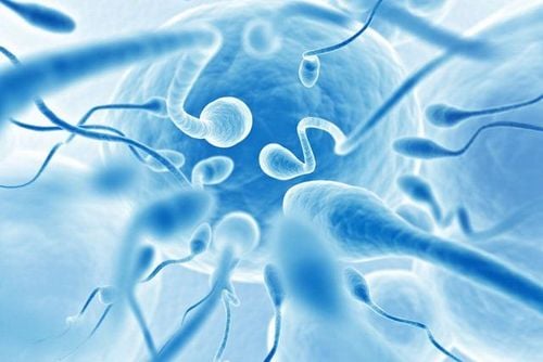 Normal sperm count in semen analysis results