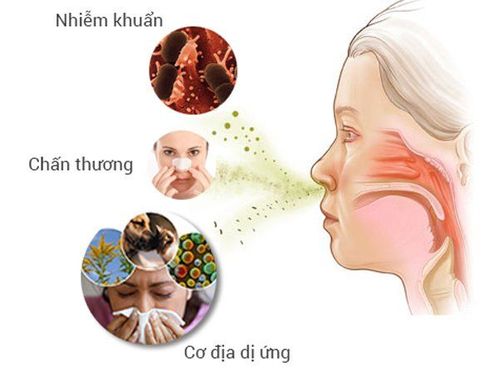 
Viêm mũi dị ứng tuy không gây nguy hiểm cho người bệnh nhưng gây ra nhiều phiền toái trong cuộc sống
