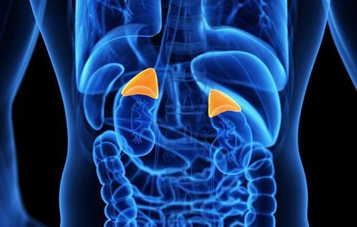 Adrenal gland tumor treatment methods