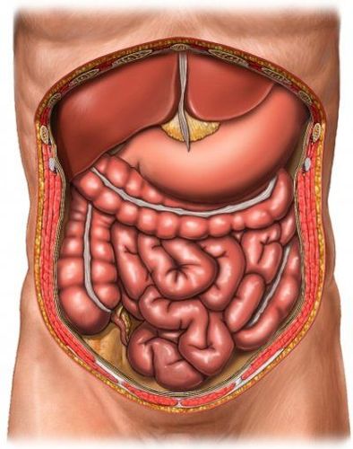 
Viêm phúc mạc đòi hỏi sự chăm sóc y tế ngay lập tức để chống nhiễm trùng
