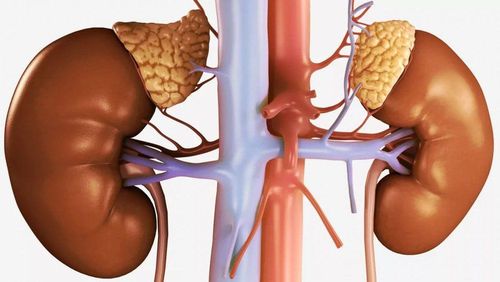 Adrenal insufficiency: Diagnosis and treatment