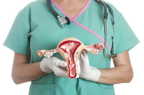 When to take an X-ray of the uterus and fallopian tubes?