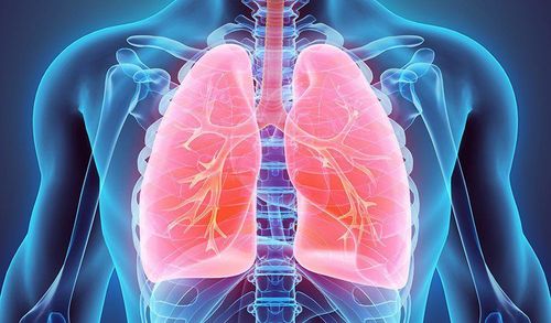 How is bronchitis diagnosed and treated?