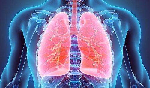 Viêm phế quản phổi chẩn đoán và điều trị thế nào?