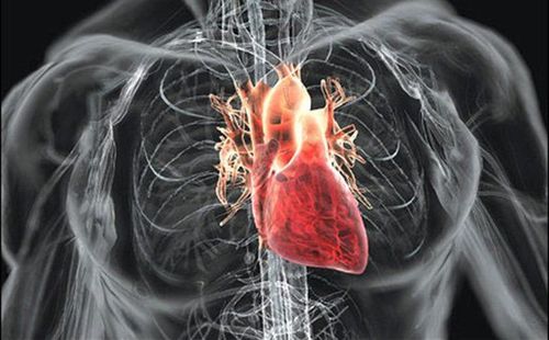 Đánh giá chính xác nguy cơ thiếu máu cơ tim do tổn thương động mạch vành bằng kỹ thuật FFR