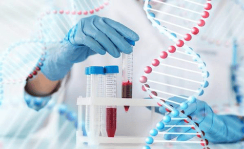 Genetic testing before pregnancy