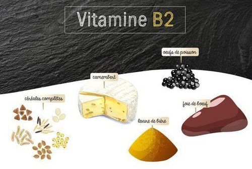 
Vitamine B2 giúp tăng tạo hồng cầu, hỗ trợ các tế bào trong chức năng tạo năng lượng
