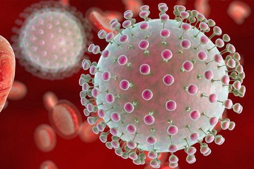 PCR test for hepatitis B virus load