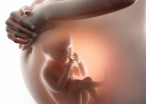 Early detection of neural tube defects in the fetus