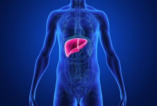 Notes in the treatment of liver toxicity