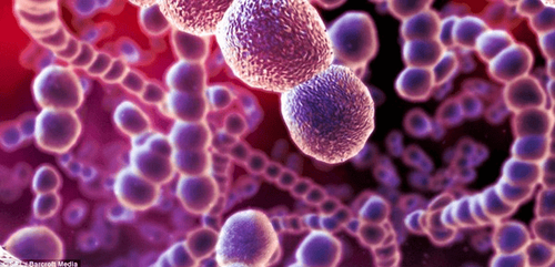 Group A Streptococcus: What you need to know