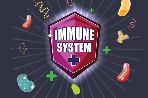 How do vaccines help strengthen the body's immune system?