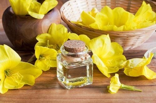 Evening Primrose Oil Increases Fertility?