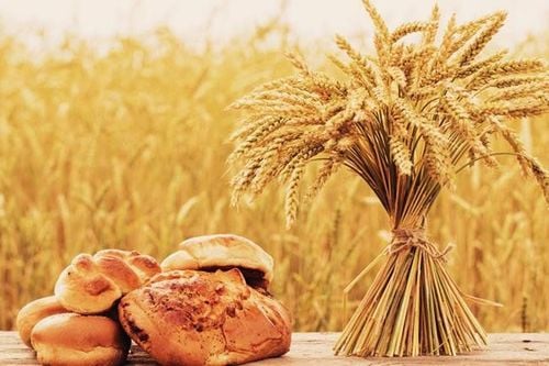 
Gluten trong lúa mì có thể gây kích ứng ruột
