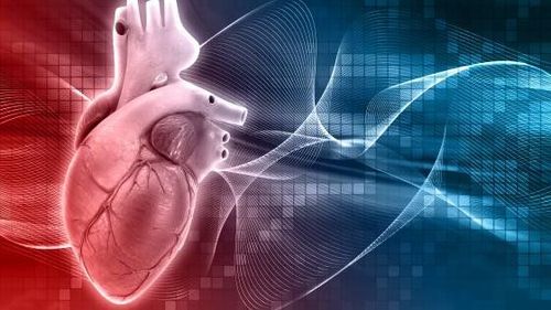 Causes and mechanisms of acute coronary syndrome