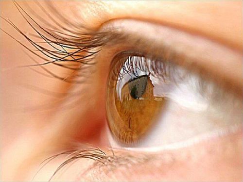 Causes of corneal abrasions