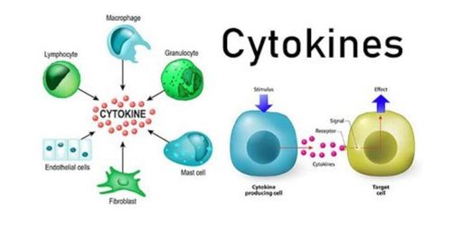 Cytokine storm in COVID-19