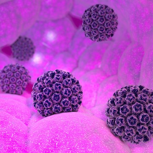 How is the HPV virus transmitted?