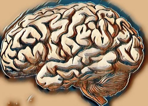 Viêm, tổn thương chất trắng não: Những điều cần biết