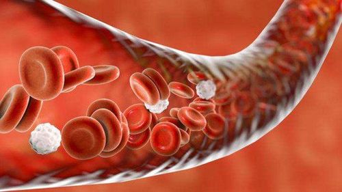 In what cases are leukocyte-poor red blood cells used?