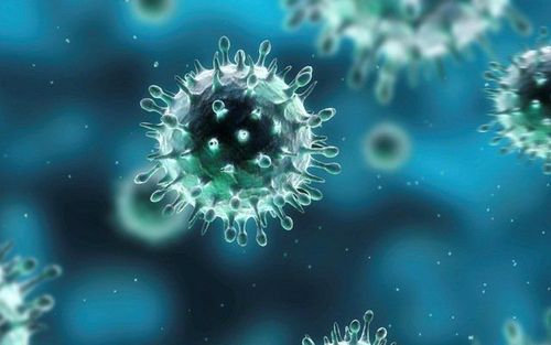 Vì sao các chủng virus cúm thường xuyên biến đổi?