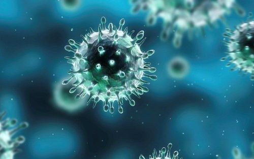 
Nhiễm virus cúm có thể là nguyên nhân dẫn tới giảm tiểu cầu miễn dịch ở trẻ
