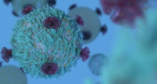 T-lymphocytes: What you need to know